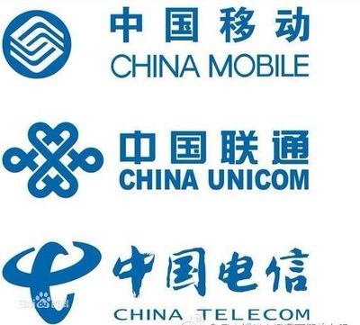 中國除了三大運營商外的基礎電信業(yè)務提供商