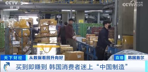 人氣火爆，買到即賺到？韓國人迷上“中國制造”的物業(yè)管理及相關(guān)配套服務(wù)